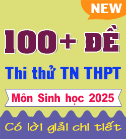 Đề thi thử THPTQG Sinh học 2025